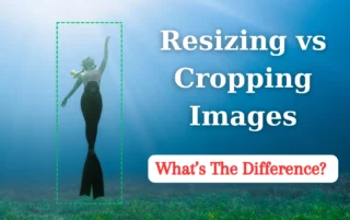 Image Resizer vs. Image Cropper: What Is the Difference?