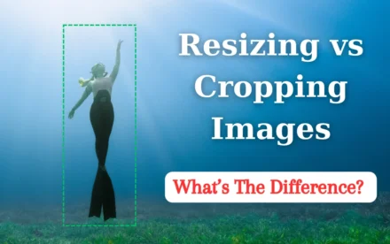 Image Resizer vs. Image Cropper: What Is the Difference?