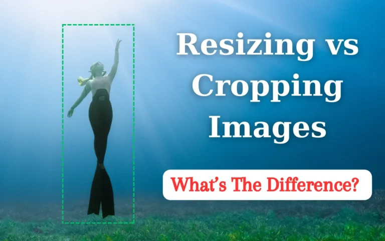 Image Resizer vs. Image Cropper: What Is the Difference?
